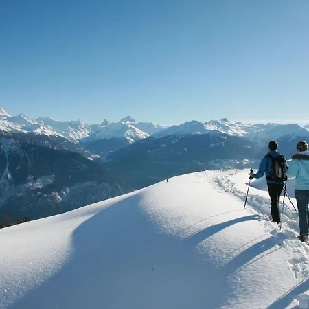 Terrasse Des Alpes 2006 By Interhome Lejlighed Crans-Montana